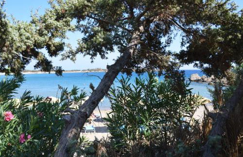 Ktima Grammeno Beachside Villa - Photo 74