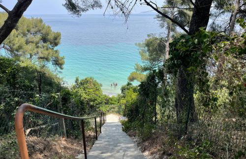 Location appartement au lavandou - Foto 13