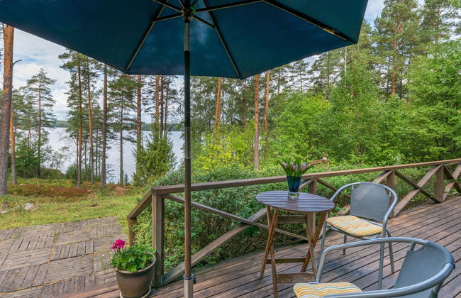 Metsä-iivari - Foto 19