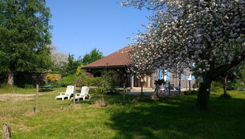 Charme - Photo 5, Garden, sunbed