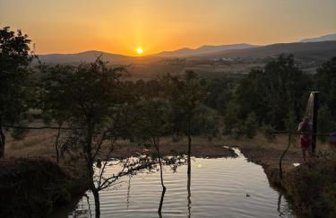 Casa Cabeço do Barragão - Photo 31