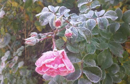 Ferienhaus Karola - Foto 56