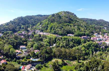 Luxurious royal estate in historic Sintra paradise - Foto 6