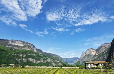 Antico Fienile Agritur - Photo 61