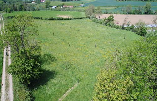 Cottage in Wierre-Effroy near Forest - Foto 32