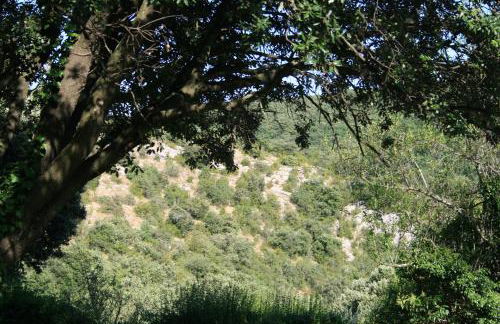 La Figalie - Foto 35