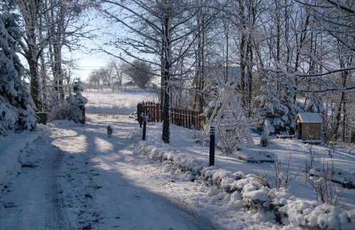 Lawendowa Dolina - Foto 11