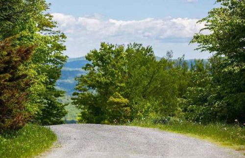 Moon Hill Retreat - Foto 30