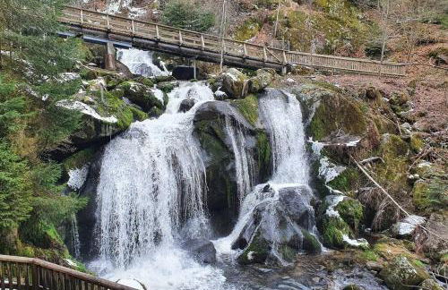 Black Forest Schwarzwaldliebe Pool Sauna Tennis Tischtennis Wifi Prime Tv Natur - Foto 29