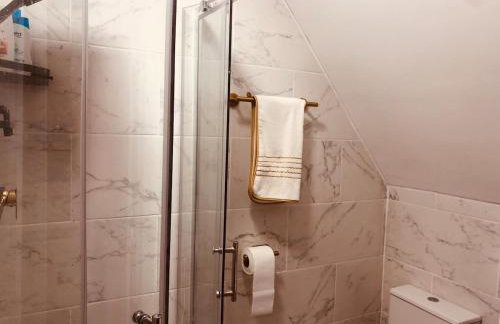 London Central 4 bed House with Garden - Photo 25