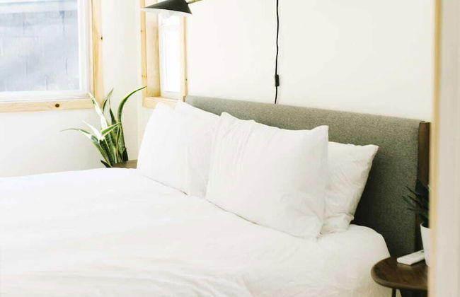 The Rex Hotel - Foto 20