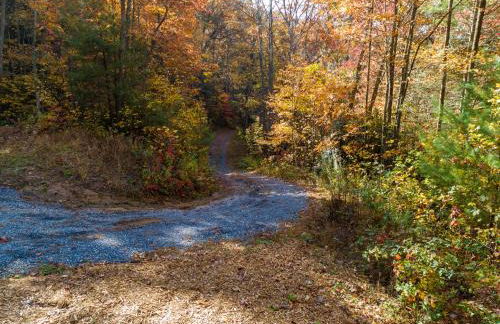 Smokies Overlook Lodge - Foto 52
