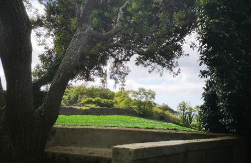 Quinta das Camélias - Açores - Photo 34