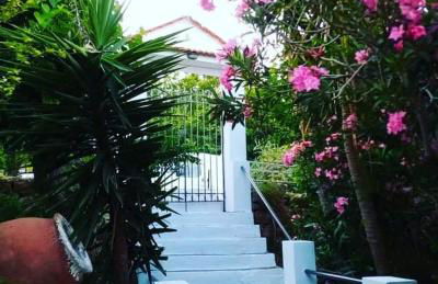 Paradisos House - Foto 6