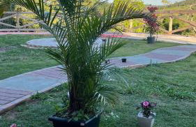 Chalés Paraíso Guararema 4 - Foto 18