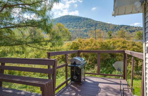 Hunter Hideaway with Yard and Deck 3 Mi to Ski Slopes - Foto 21