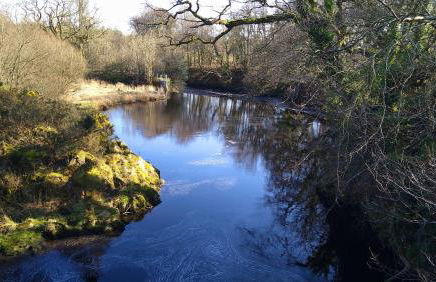 4 Laigh Isle - Foto 25