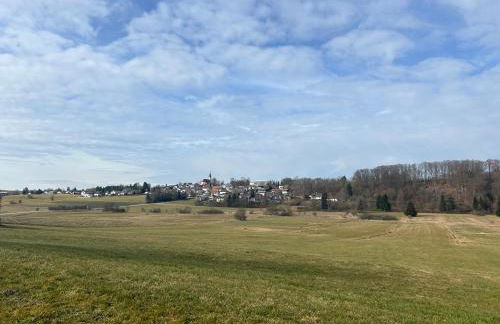 Lüftenblick - 2 Ferienwohnungen am Starnberger See, mit Terrasse oder Balkon, Weitblick, Sauna, Kamin, E-Ladestation - Foto 26