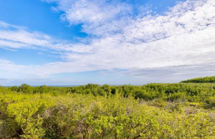 Boho Chic Ocean Pointe 3214 - Foto 35