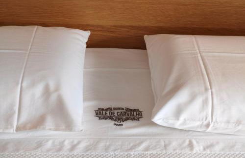 Wine House - Quinta Vale de Carvalho - Foto 18