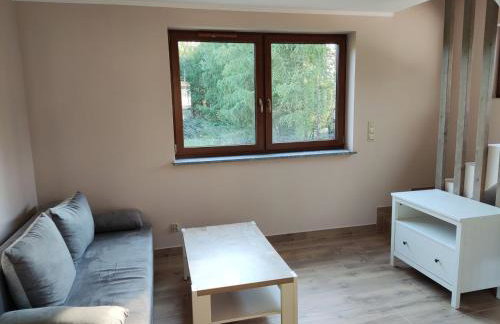 Domek wakacyjny nad jeziorem Gowidlińskim - Foto 11