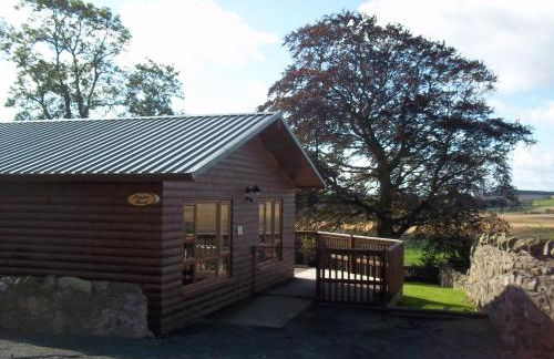 Copper Beech Lodge with Hot Tub - Foto 9