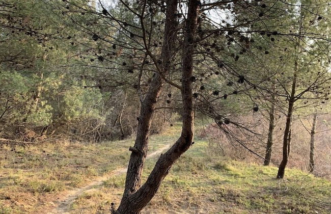 Florenc's Apartment - Foto 39