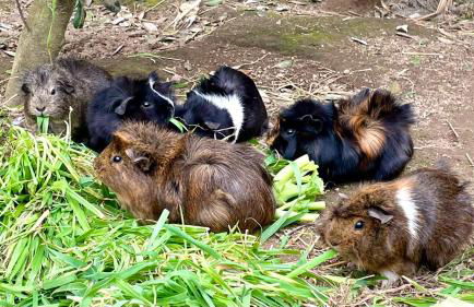 Sea Roots "Sea Zone" - Foto 57