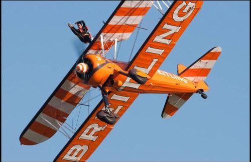 The Green Bus and the lodge - Foto 22