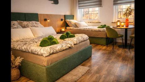 Studio-Apartament 101 free Parking Domus Kushal - Foto 3