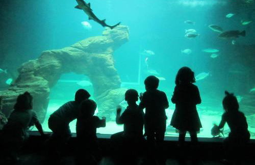 Los Caserios - Foto 56