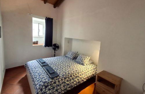 Garden in the City - Photo 13