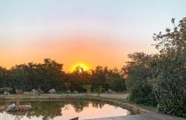 Casa Branca - Foto 40