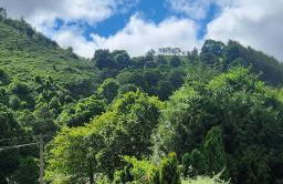 Modern and spacious 2 bedroom apartment with free parking - Photo 41