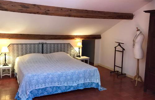 Mas Antonine, Grenouille - Foto 35