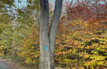 Poconos Peaceful Retreat - Families & Large Groups - Foto 16