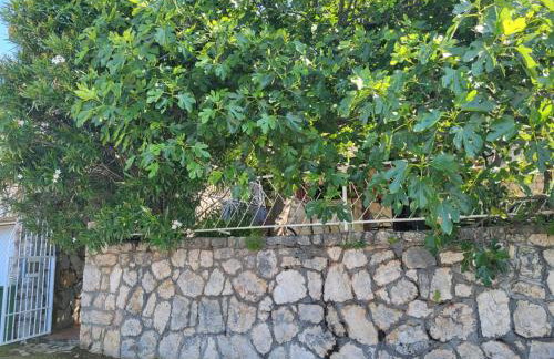 Rustic Home Maslenica - Photo 21