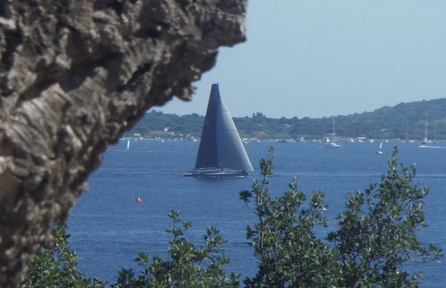 Lou Trelus - Foto 41