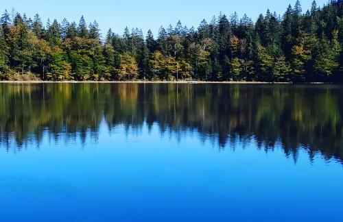 Haus Fabienne - Foto 20