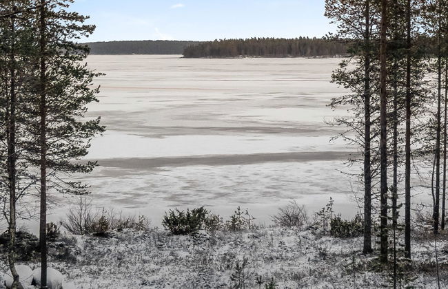 Unarin kettu - Foto 24