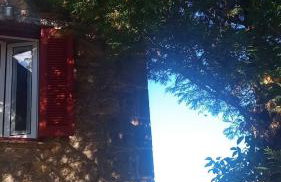 Βίλα Αρμονία Ορεινή Κορινθία - Foto 44