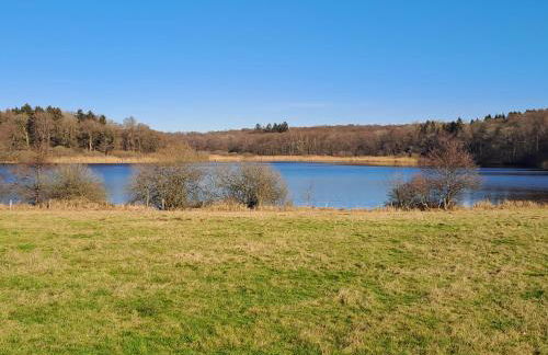 Alte Schule Steinen - Foto 21