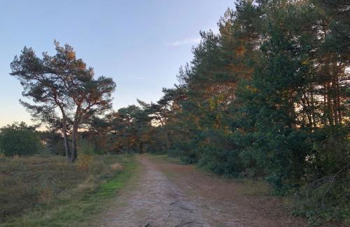 Haus Haddorfer See "Hus vi d Sjön" - Foto 28