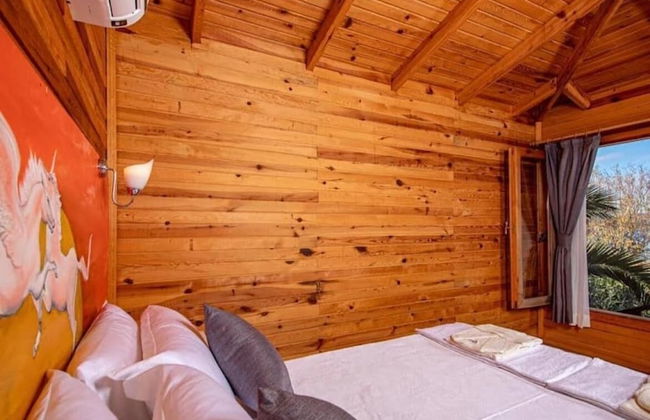 Palmira Selimiye - Foto 6