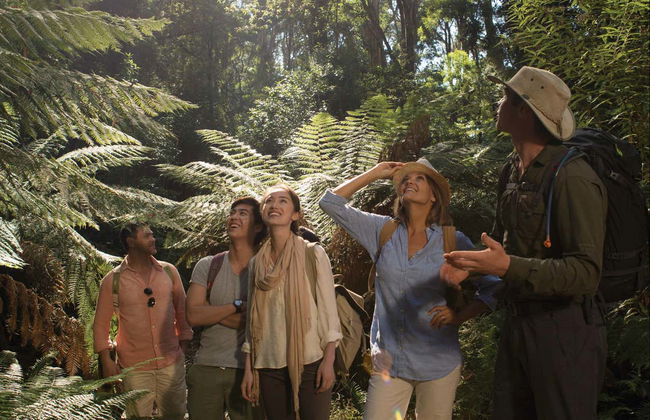 Phillip Island Private Day Trip - Photo 6