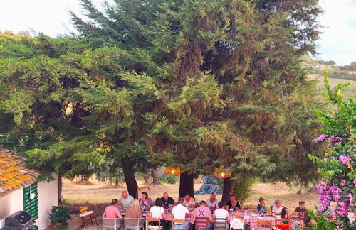 Villa Ferranti Abruzzo - Photo 9