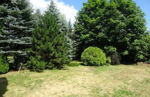 Maison Xu - Le Chalet - Fireplace - River Beaches - Parking Garden Terrace - Foto 24