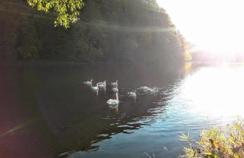 Zakątek nad Sanem, Załuż 128 - Foto 23