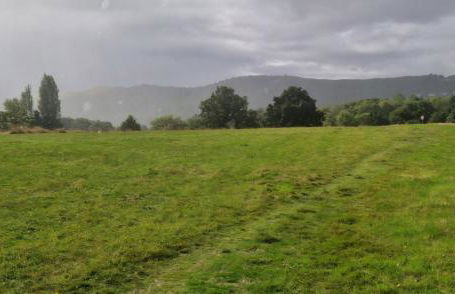 Cottage On The Common - Foto 30