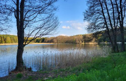 Apartament Perła A31 - Foto 40